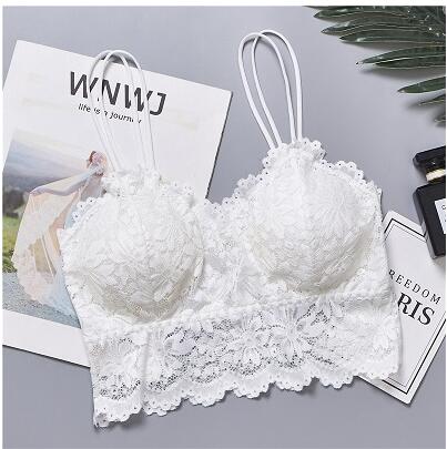Push Up Wireless Lace Bra